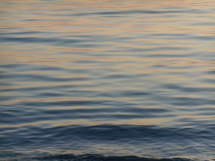 water surface, sea level, background, evening, a quiet