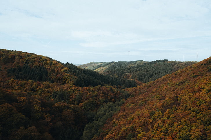 brown, green, mountains, mountain, valley, tree, plant