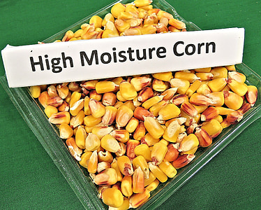 hög fukt majs, djurfoder, Grain, hög kapacitet