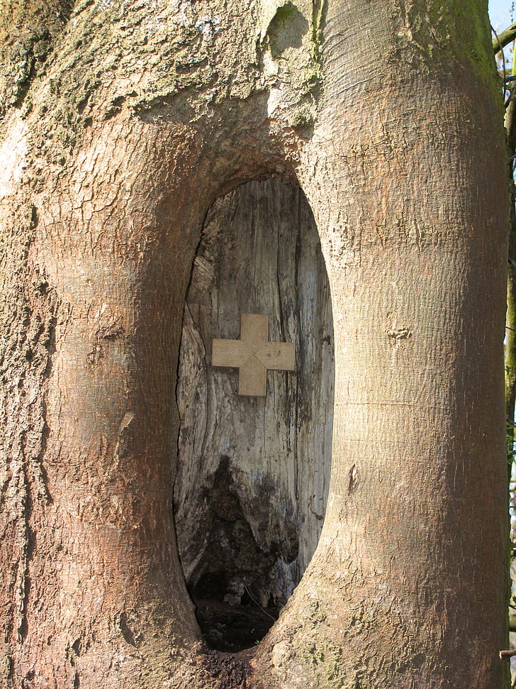 Knothole, copac, cicatrice, cruce, închide, creştină, credinţa