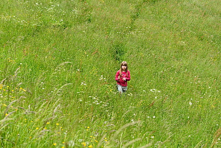 nature, meadow, grass, green, child, girl, person