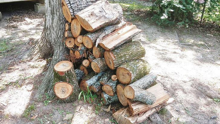 wood pile, firewood, wood, wood heap, stacked, lumber, timber