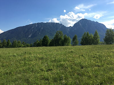 rumænske bjerge, grøn, sommer, landskab, natur, naturlige, græs