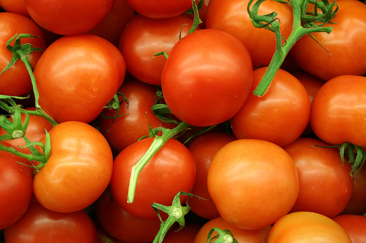 tomaten, spanten, Bush tomaten, cherry tomaten, groenten, rood, markt