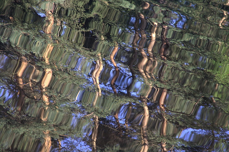 vesi, Reflections, peilaus, puut, Aalto, pinta