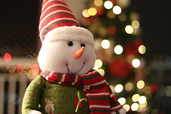 Vánoční, Vánoční dekorace, Vánoční ozdoba, Veselé Vánoce, sněhulák, sníh, Bonnet