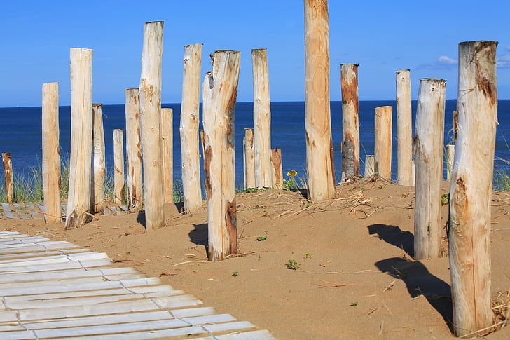 дървен материал, плаж, море, дървени път