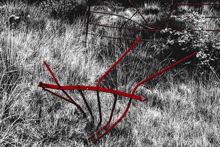 fence, red, grass, metal, black and white, countryside, rusty