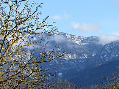 Landschaft, Ansicht-vercors, Baum, Walnuss, Winter, Berg, Natur