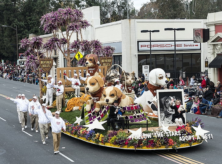 parade, float, hunde, blomstermotiver, Rose parade, Street, farverige