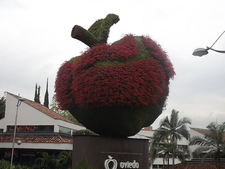 Jabłko, Medellín, Kolumbia