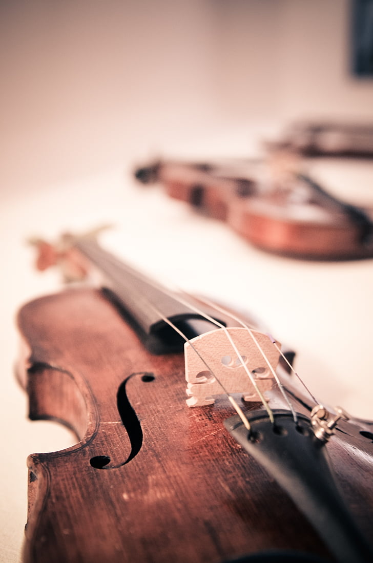 violín, violines, clásico, instrumentos musicales, instrumento de cuerda, cordófono, instrumentos de cuerda