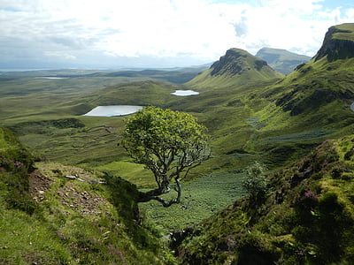 Шотландия, пейзаж, ливада, дърво, Грийн, Хил, езера