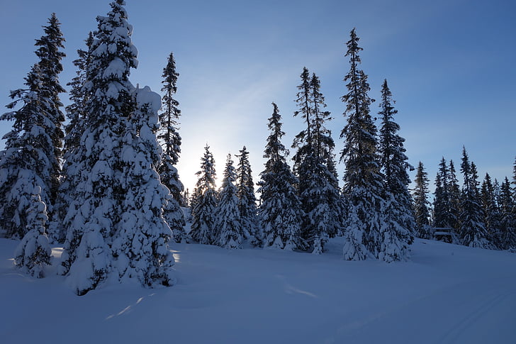 сніг, взимку, Гора, Норвегія, Ліллехаммері, місті Hafjell, Січень