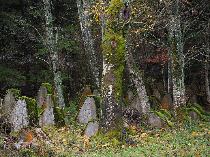 militære kirkegård, Graves, gamle, forlade, kirkegård, Frankrig