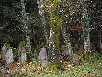 Soldatenfriedhof, Gräber, alt, verlassen, Friedhof, Frankreich