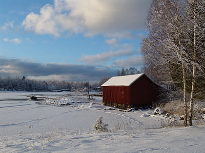 Inverno, neve, paisagem de neve