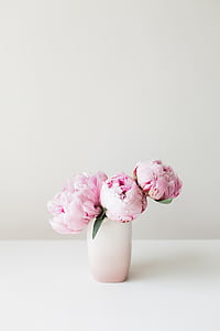 peônias, -de-rosa, flor, floral, Verão, buquê, celebração
