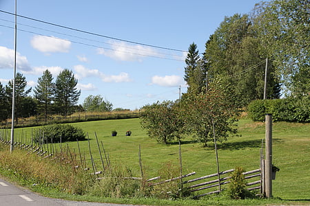 narave, vrt kmetije, poletje, regiji Norrland