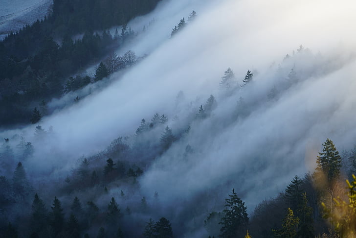 fog, nebellandschaft, wave of fog, belchenflue, challhöchi, sea of fog, jura