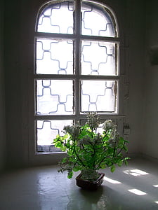 fleur, Dim, fenêtre de, à l’intérieur, architecture, aucun peuple, mur - bâtiment caractéristique