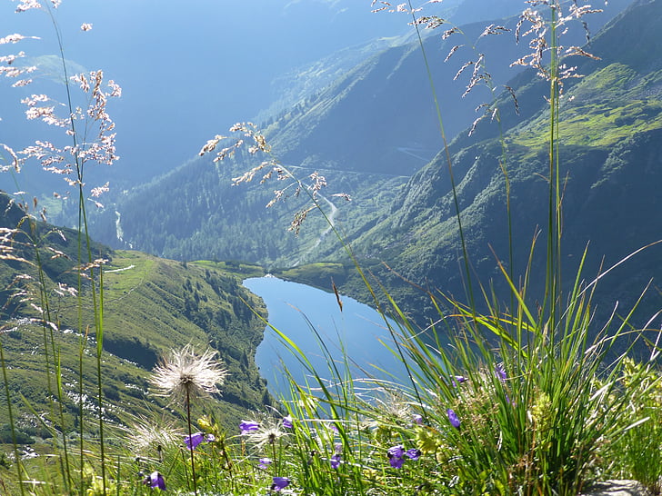 Alpensee, See, Wasser, Berge, Wanderung, Landschaft, Bergwiesen