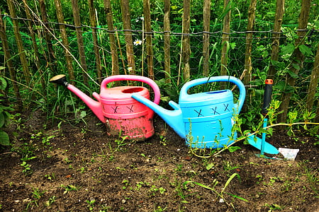 can, watering can, equipment, gardening, water, horticulture, pink