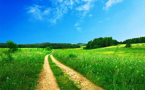 pěšina, cesta, venkova, zelená, cesta, Příroda, obloha