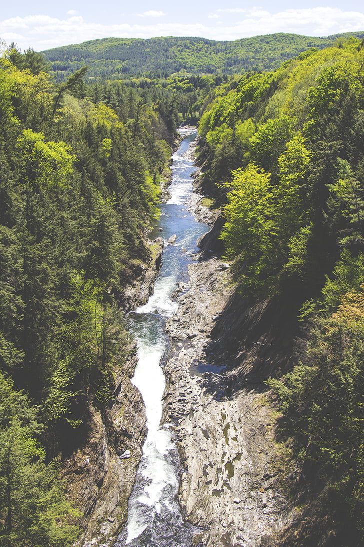 Creek, Stream, vallei, Wild, water, natuur, bos