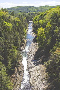Creek, Stream, Lembah, liar, air, alam, hutan