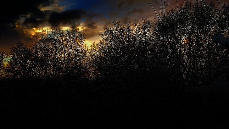 trees, night, sunset, evening, sky