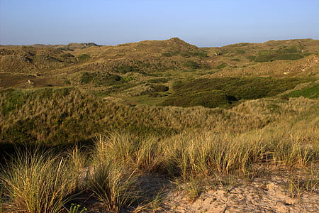dunes, landscape, cornwall, nature, outdoors, hill