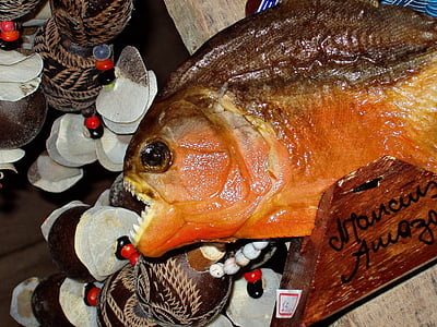 Piranha, gevaarlijke, vis, souvenir, native, Brazilië, Amazon