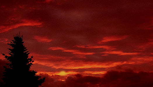 ตอนเย็น, สีแดง, ท้องฟ้า, ต้นไม้, ระเรื่อ, เมฆ, อารมณ์เย็น