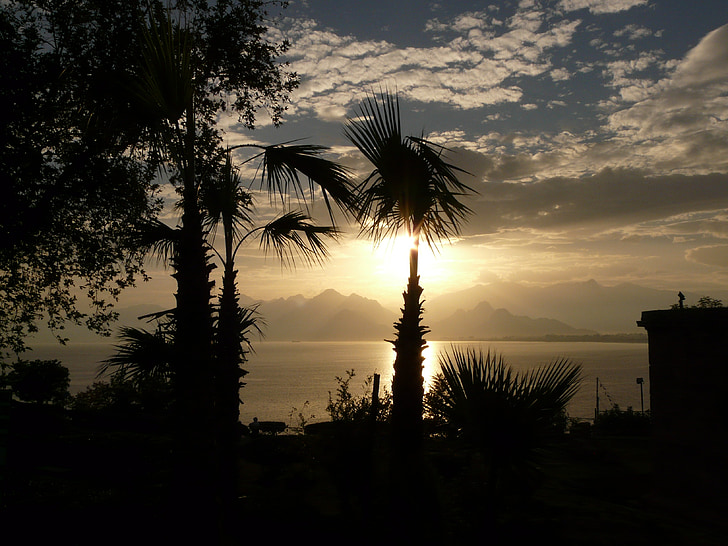 back light, sunset, antalya, sea, outlook, palm trees, idyll