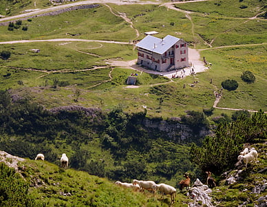 rifugio, Scalorbi, montagna, escursionismo, prato, pecore, capra