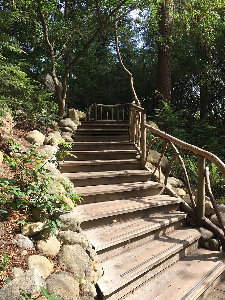 nature, stairs, wilderness, outdoors, rock