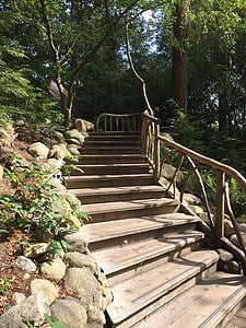 nature, stairs, wilderness, outdoors, rock