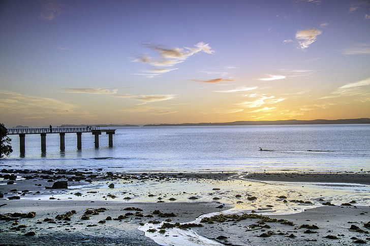 saullēktu, pludmale, Jaunzēlande, Auckland, Murrays līcis