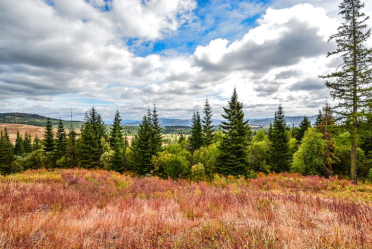 vuoret, näkymä, puut, Hills, taivas, Luonto, maisema