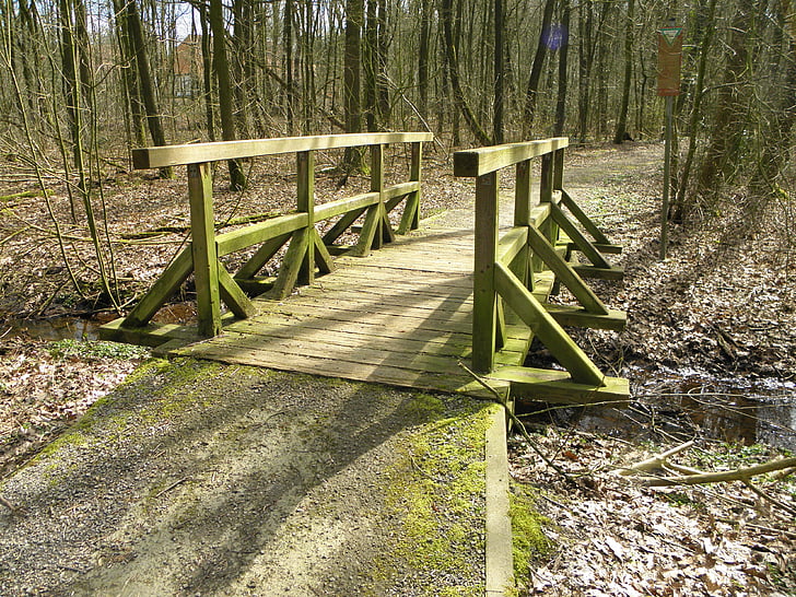 bridge, wood, moss, wooden bridge, transition, path, nature