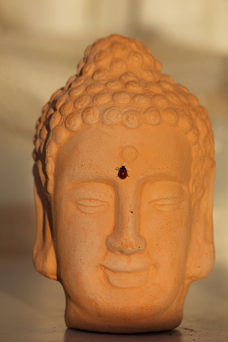 Buddha, Ladybug, solnedgang, hodet, statuen, buddhisme, Asia