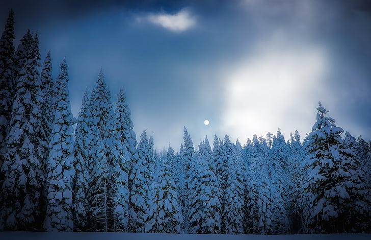 Squaw valley, Califórnia, neve, Inverno, pôr do sol, Crepúsculo, paisagem