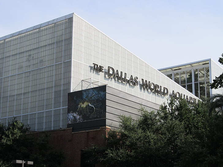 Dallas world akvárium, állatkert, építészet, városi, belváros, Dallas, Texas