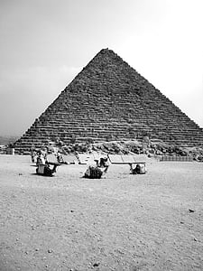 埃及, 金字塔, 骆驼, 非洲, 法老, ghizé, 吉萨金字塔