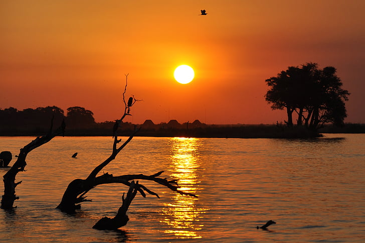Botswana, solnedgång, Chobe, siluett, naturen, vatten, havet