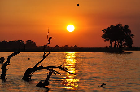 Botswana, tramonto, Chobe, sagoma, natura, acqua, mare