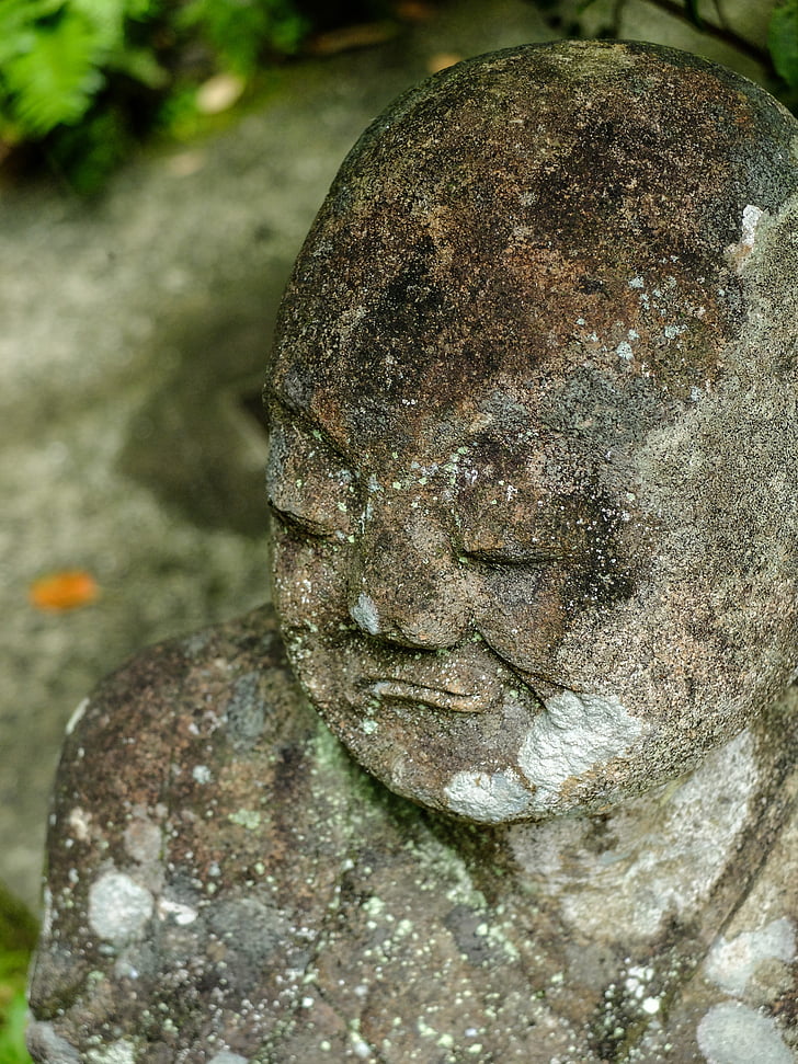 Estàtua de Buda, Buda, Japó, budisme, cinc-cents, Miyamoto musashi, Kumamoto