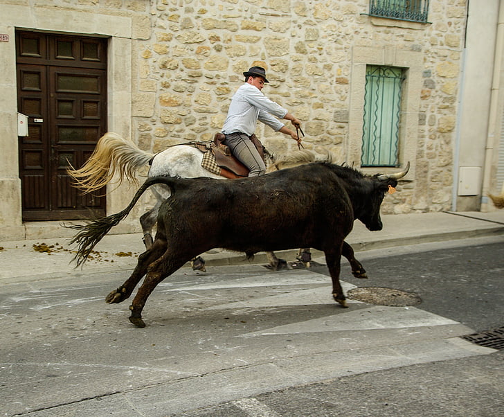 France, Camargue, taureaux, gardians, fête de village