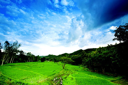 Thái Lan, cảnh quan, bầu trời, đám mây, Thiên nhiên, màu xanh, Châu á